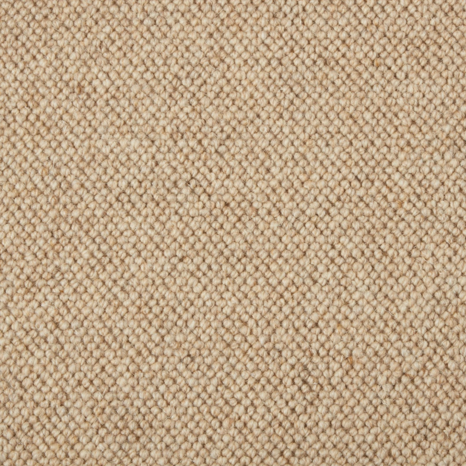 Warm oatmeal-beige wool loop carpet showing a dense, pebble-like textured surface