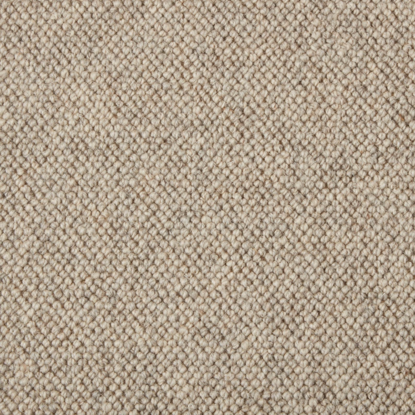 Close-up of Ridge Mist’s tightly looped wool texture in soft greige taupe
