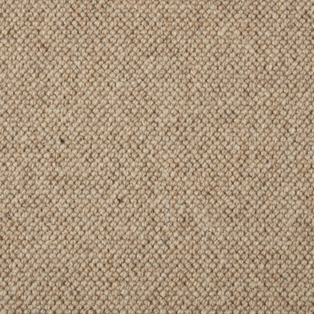 Warm oatmeal beige Wool Loop with tightly packed, softly flecked loops