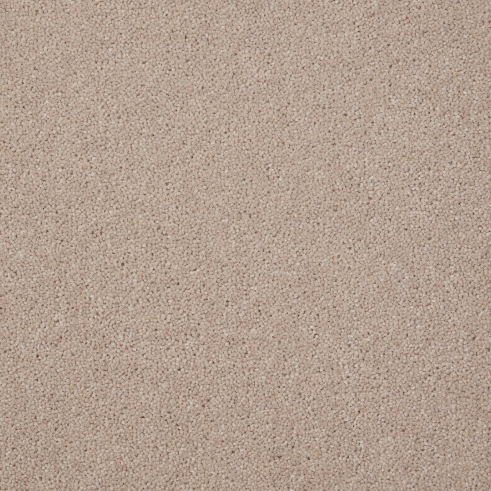 Mushroom taupe Cygnet carpet with dense, finely twisted Wool Twist texture