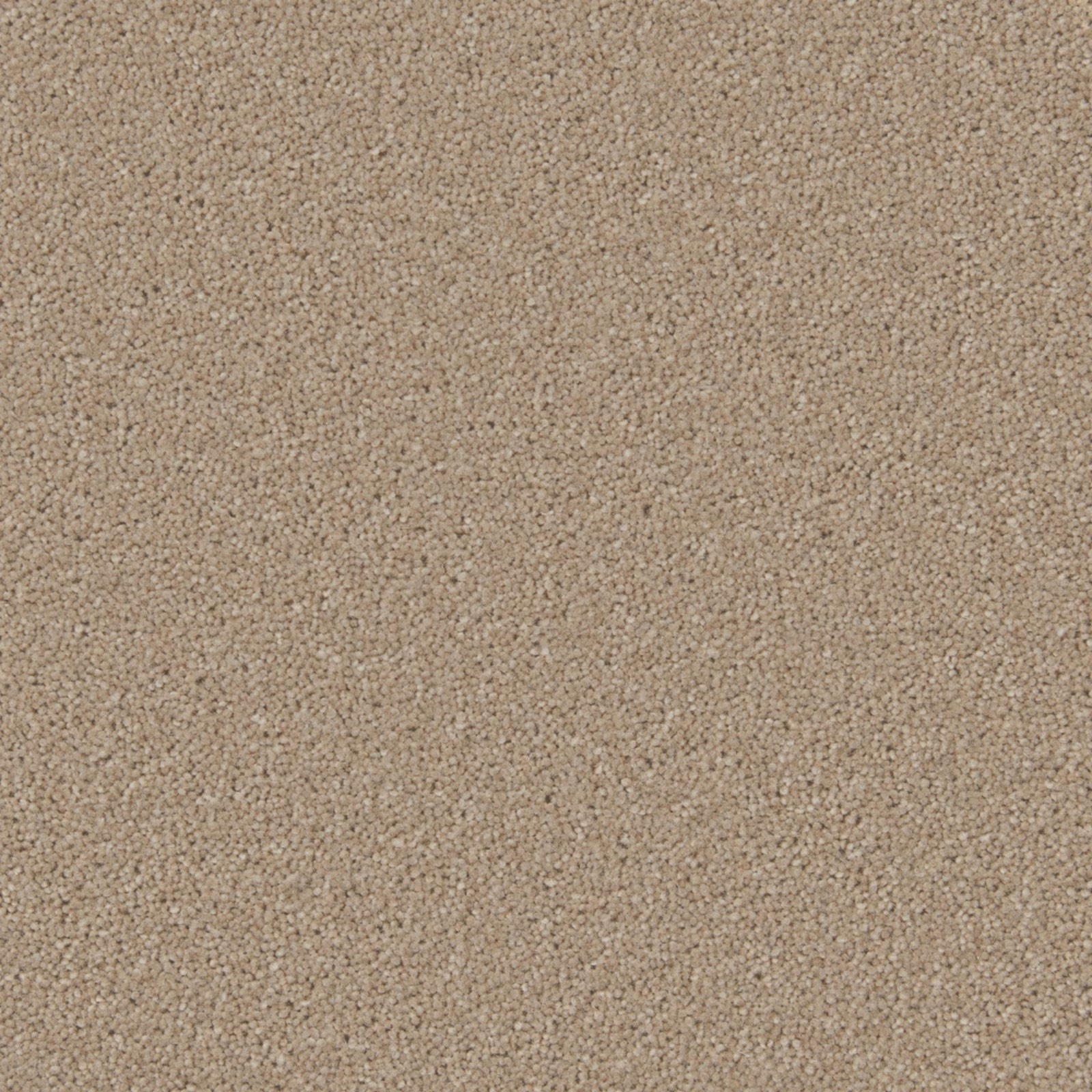 Warm taupe-beige carpet with a dense, softly pebbled wool-twist surface