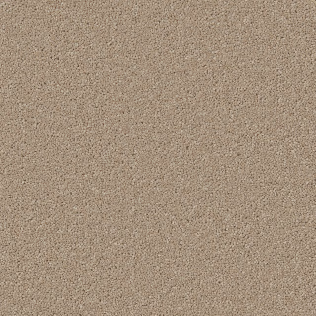 Warm taupe-beige carpet with a dense, softly pebbled wool-twist surface
