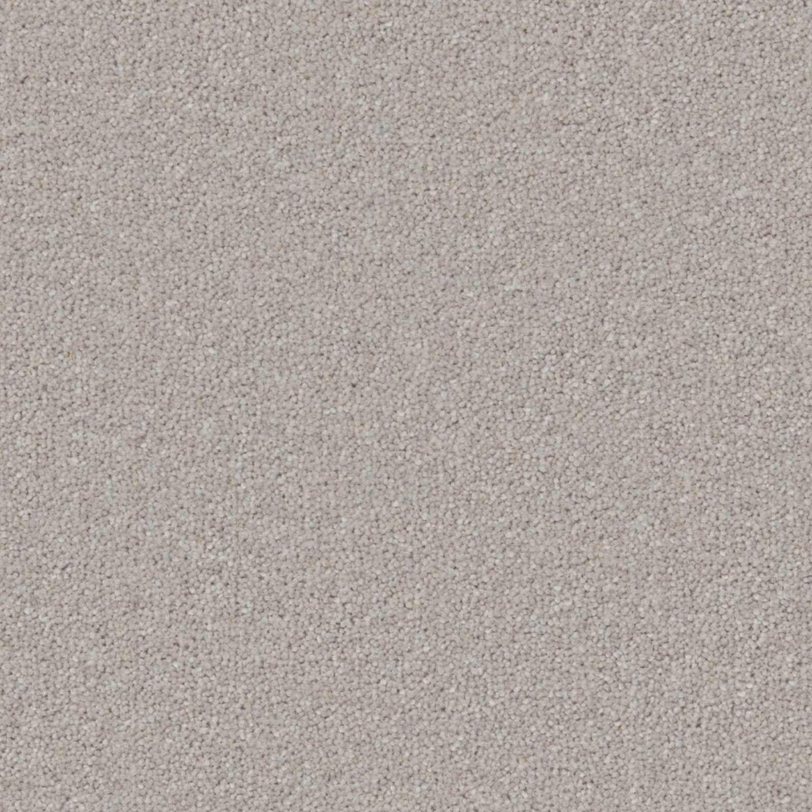 Pale greige Florin carpet with a fine, softly mottled wool-twist texture