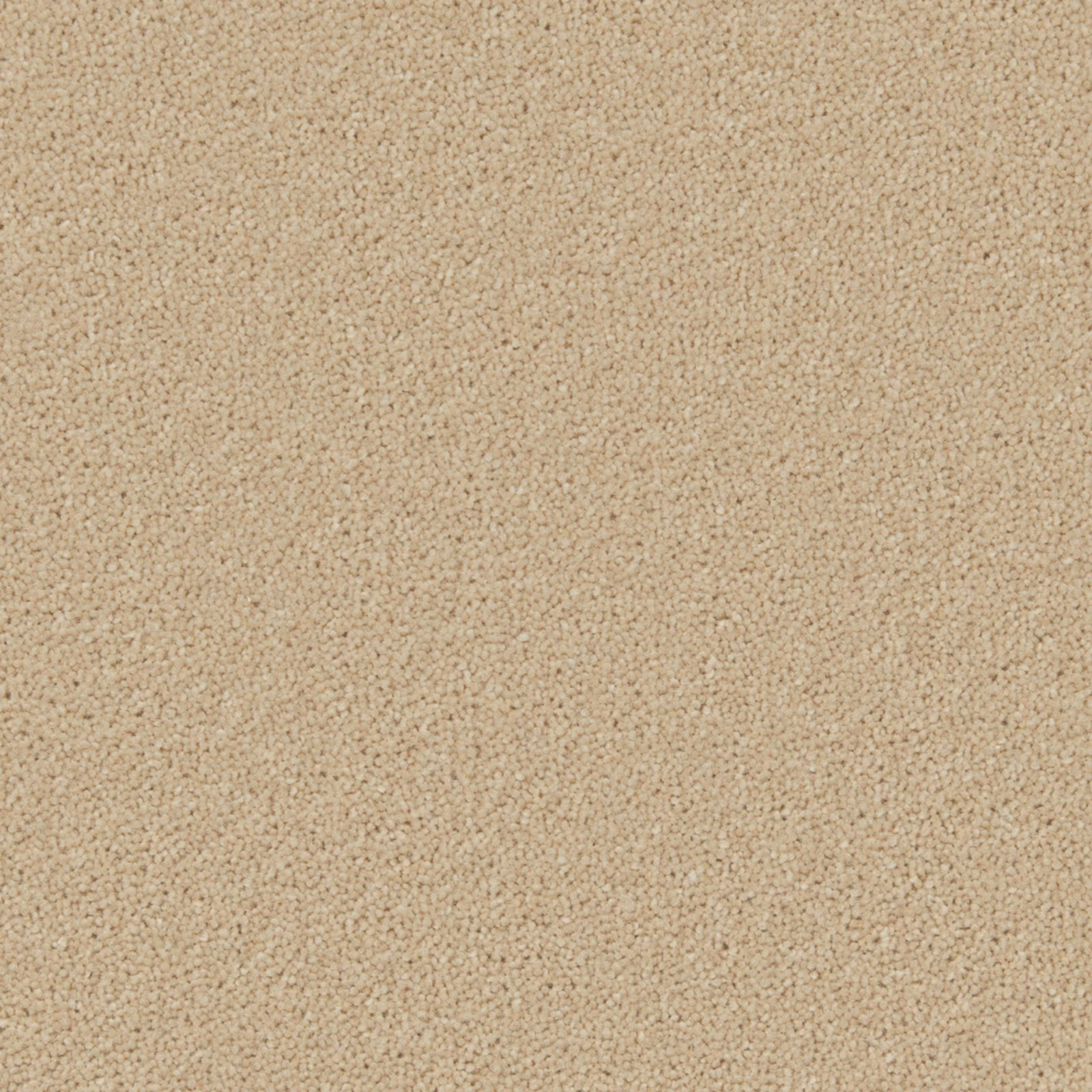 Close-up of warm oatmeal-beige Wool Twist carpet with dense flecked loops