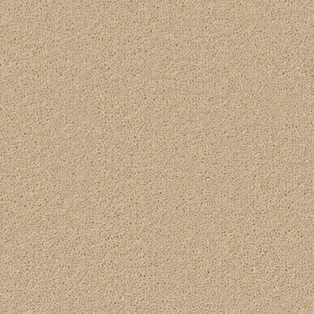 Close-up of warm oatmeal-beige Wool Twist carpet with dense flecked loops