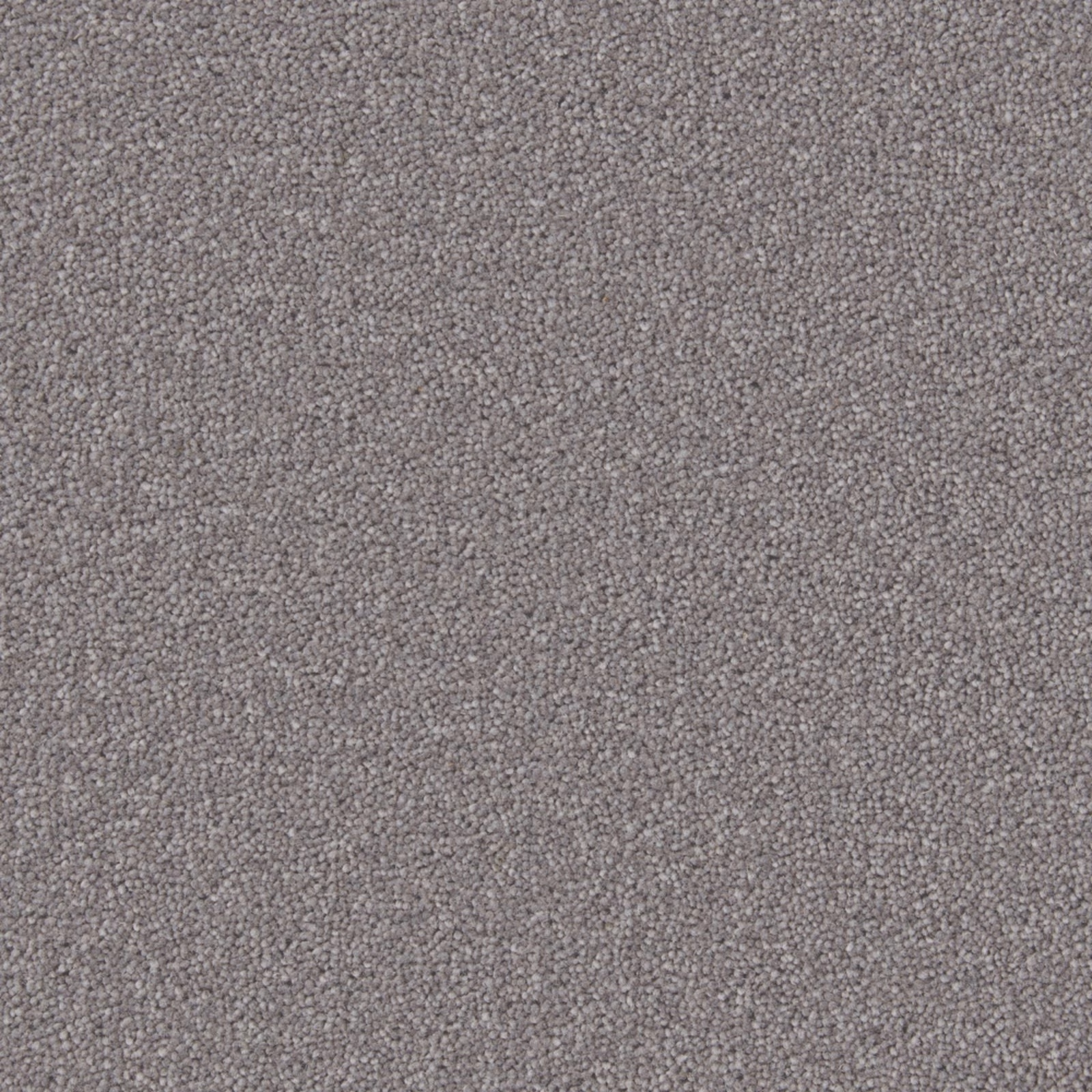 Close-up of dense gunmetal grey twisted pile with fine taupe tonal flecks