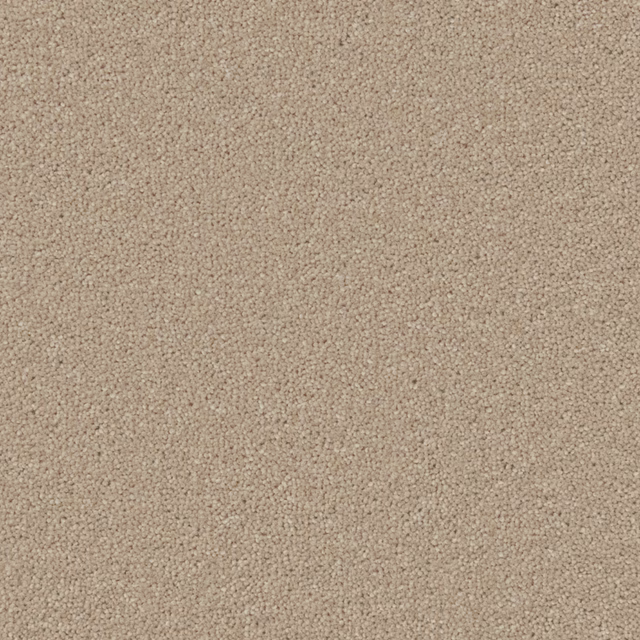 Warm stone-beige wool twist with a dense, softly pebbled carpet texture