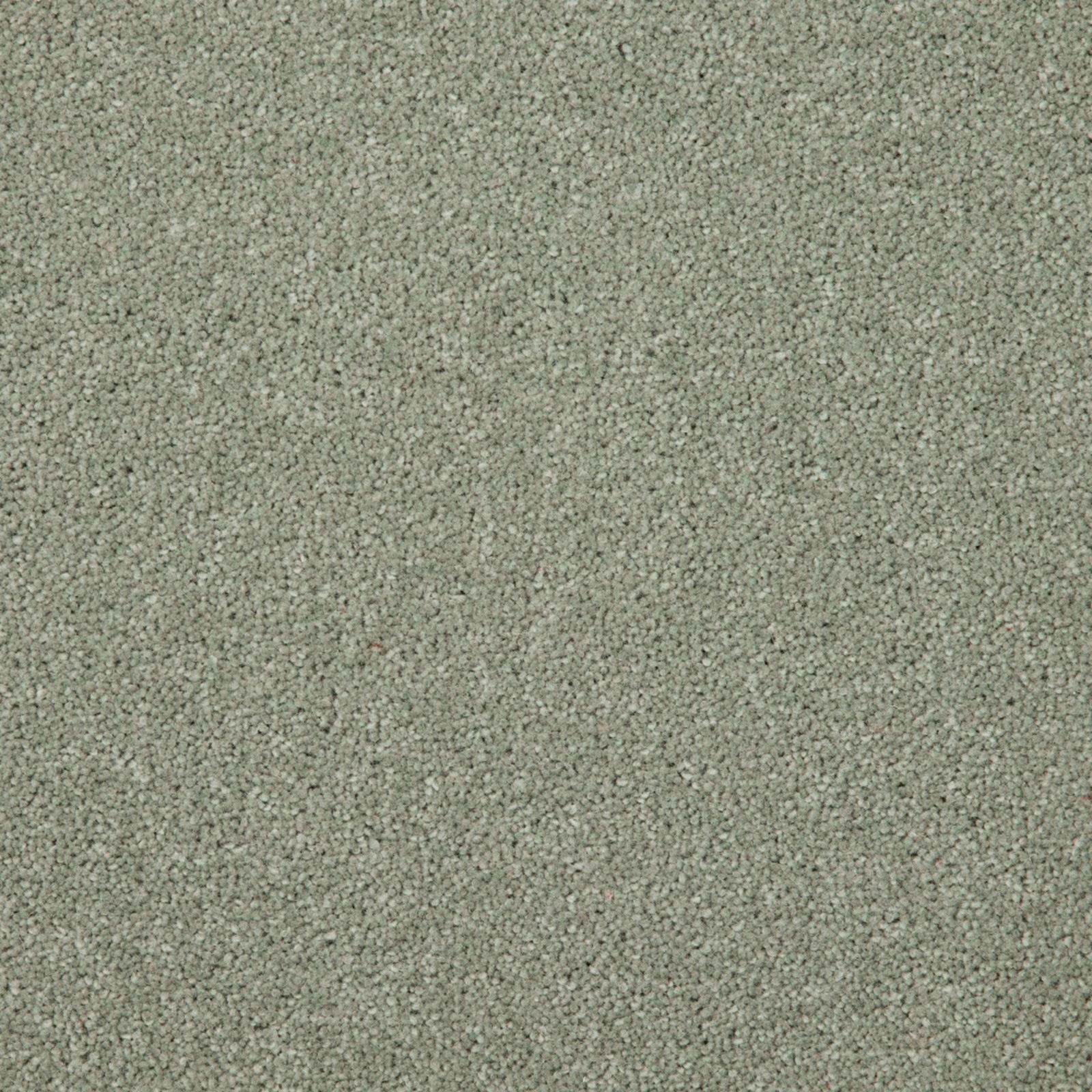Close-up of muted sage-green Wool Twist carpet with dense, softly flecked texture
