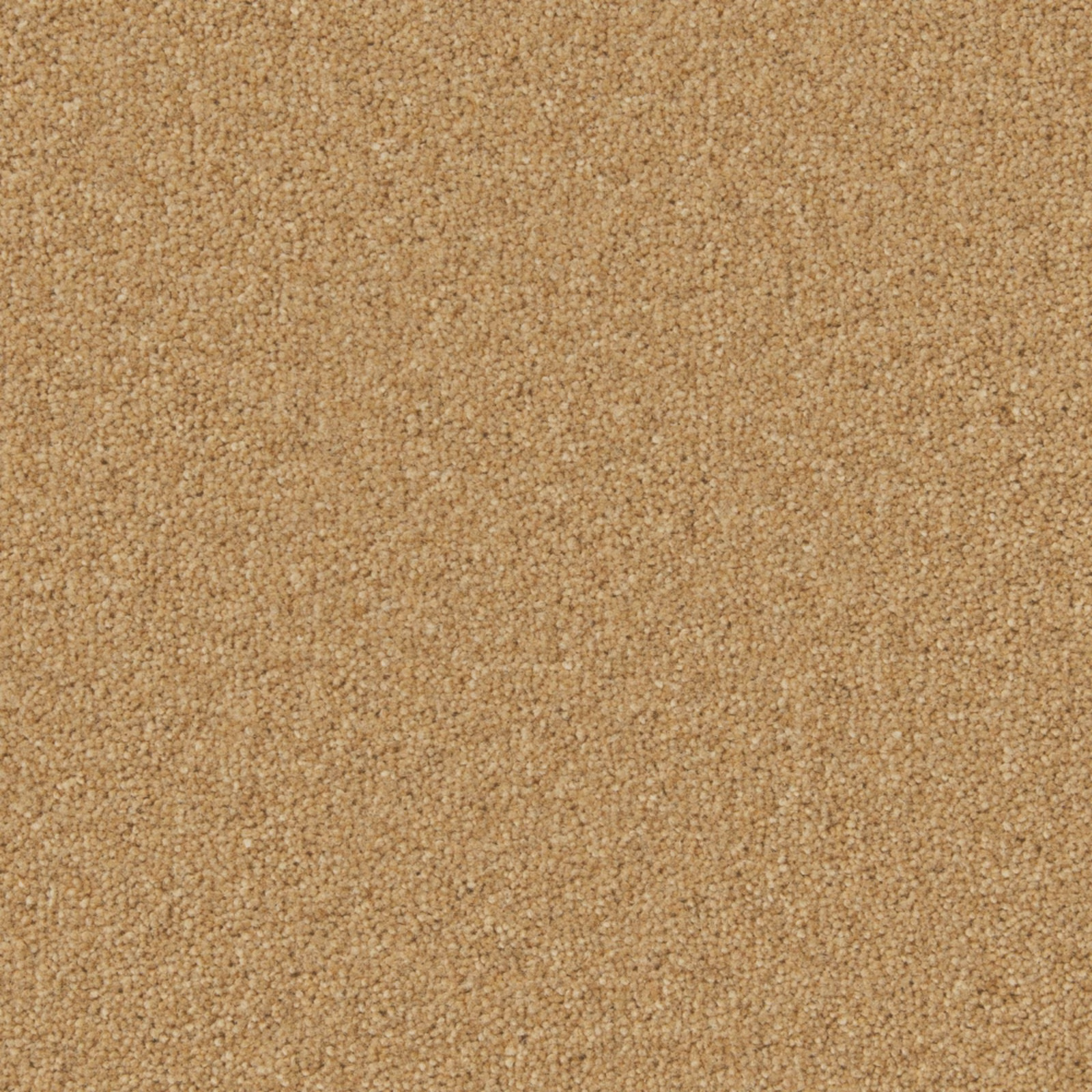 Close-up of warm maize-gold Wool Twist with a dense, softly nubby texture