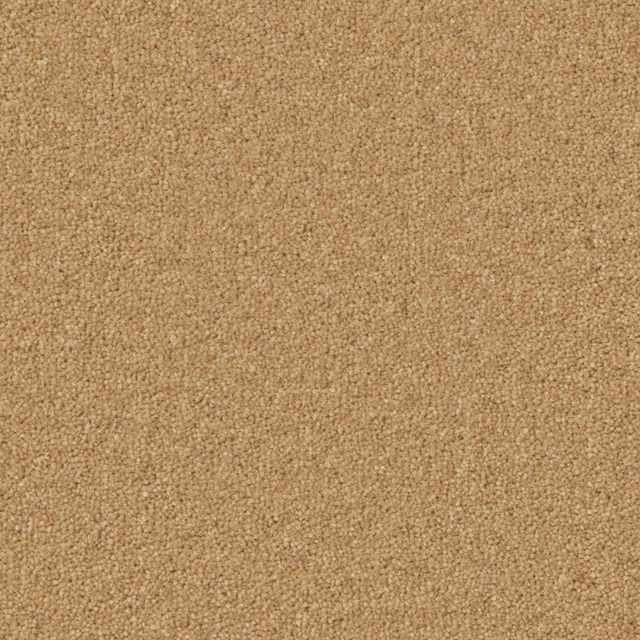 Close-up of warm maize-gold Wool Twist with a dense, softly nubby texture