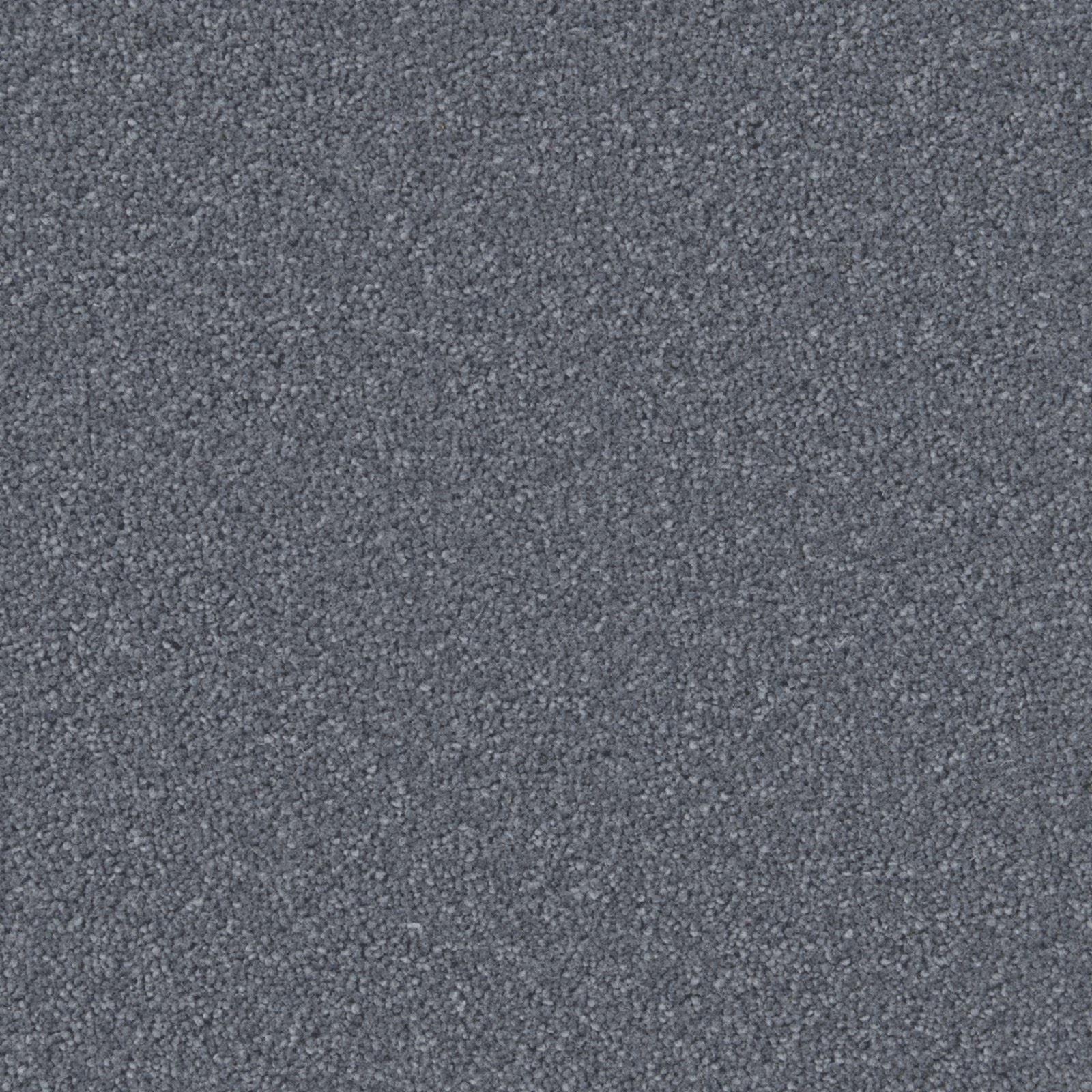 Close-up of cool slate-grey carpet with a dense peppered wool twist texture