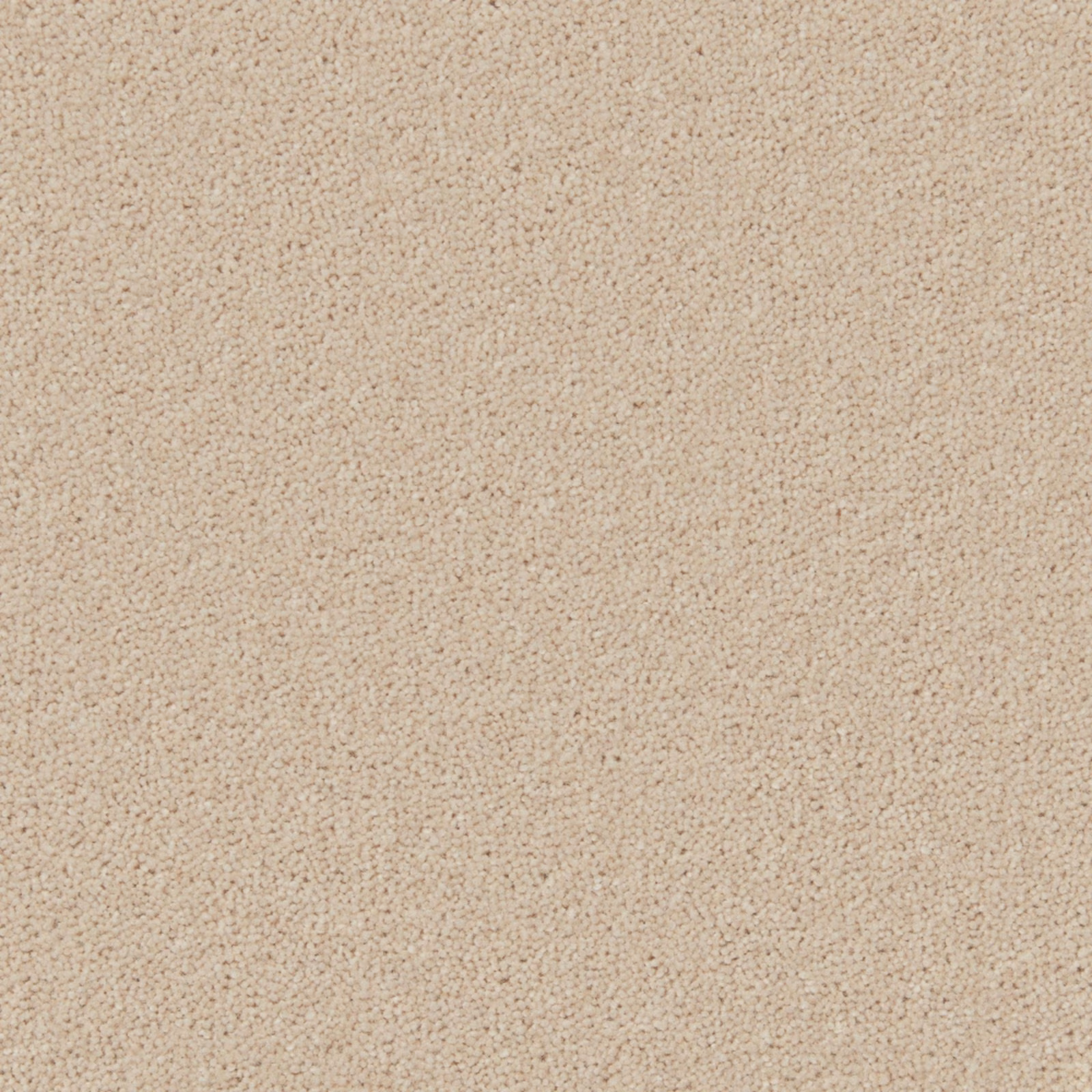 Warm pearl-beige carpet showing a dense, fine wool-twist texture in close view