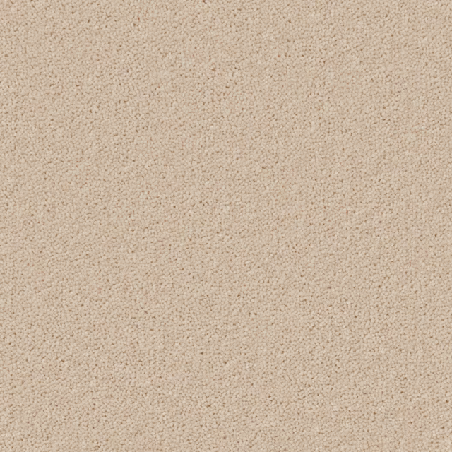 Warm pearl-beige carpet showing a dense, fine wool-twist texture in close view