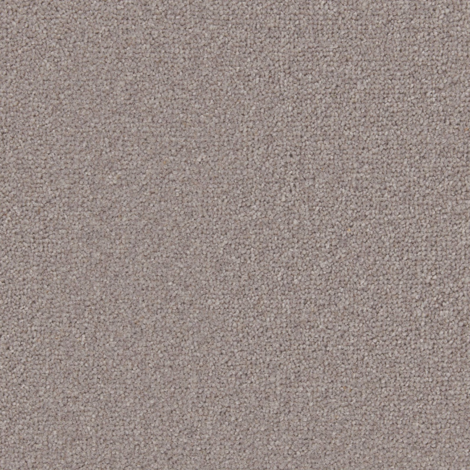 Cool taupe-grey Wool Twist carpet with a dense, softly flecked texture