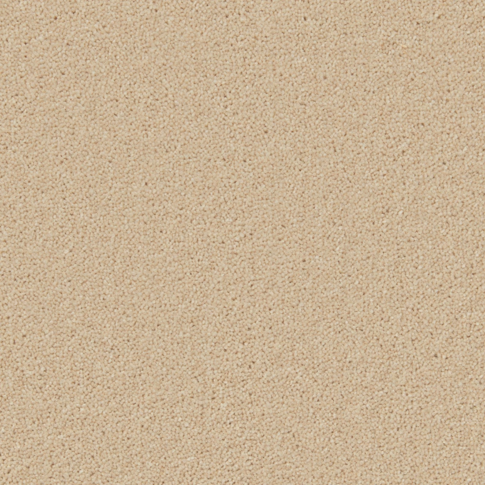 Warm oatmeal-beige carpet with dense, softly pebbled Wool Twist texture