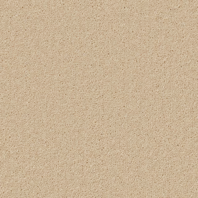 Warm oatmeal-beige carpet with dense, softly pebbled Wool Twist texture