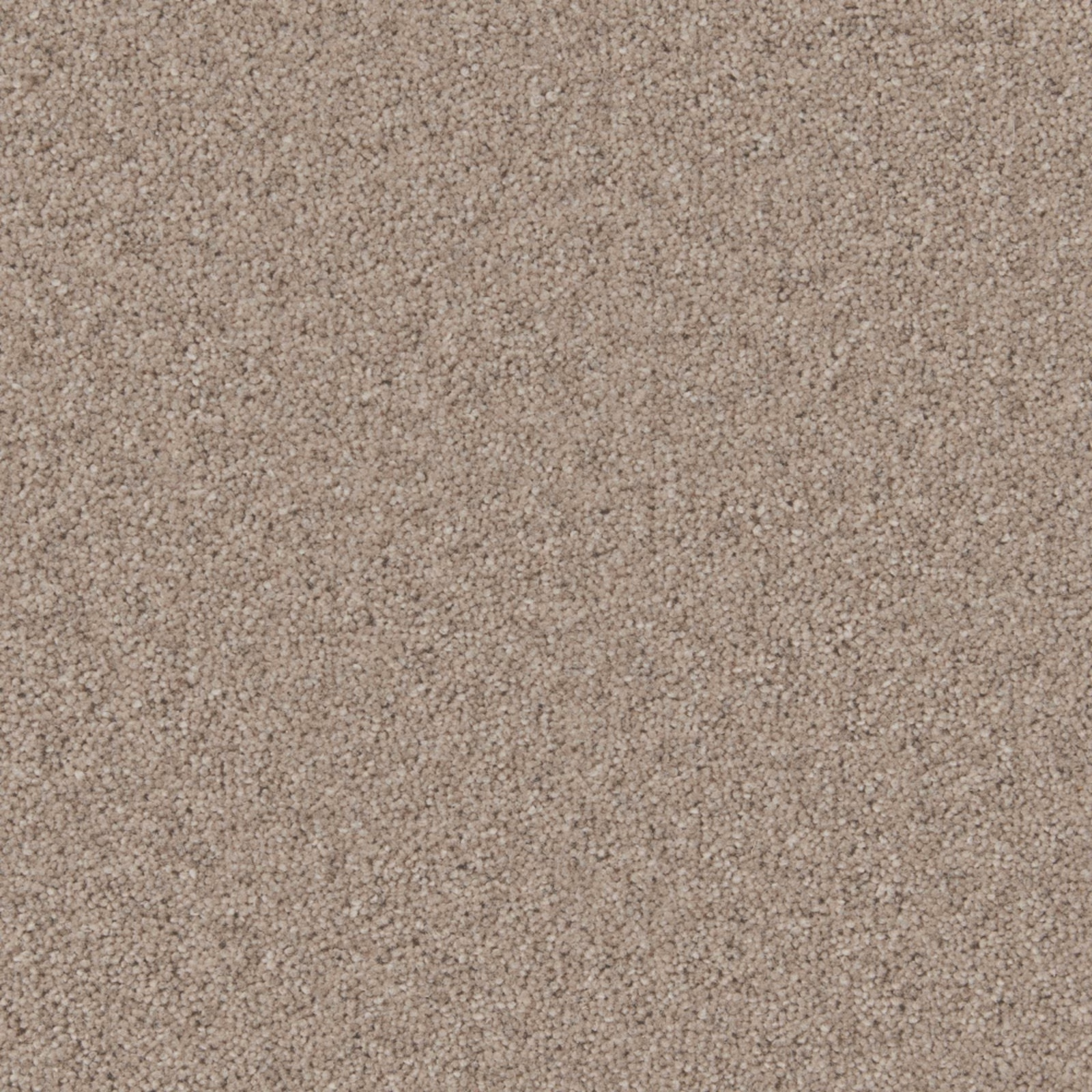 Warm taupe-beige Ridge Rock carpet showing dense, softly flecked Wool Twist texture