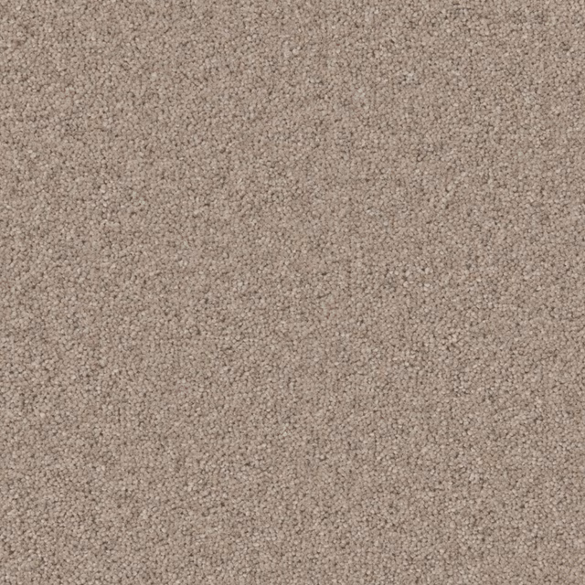 Warm taupe-beige Ridge Rock carpet showing dense, softly flecked Wool Twist texture