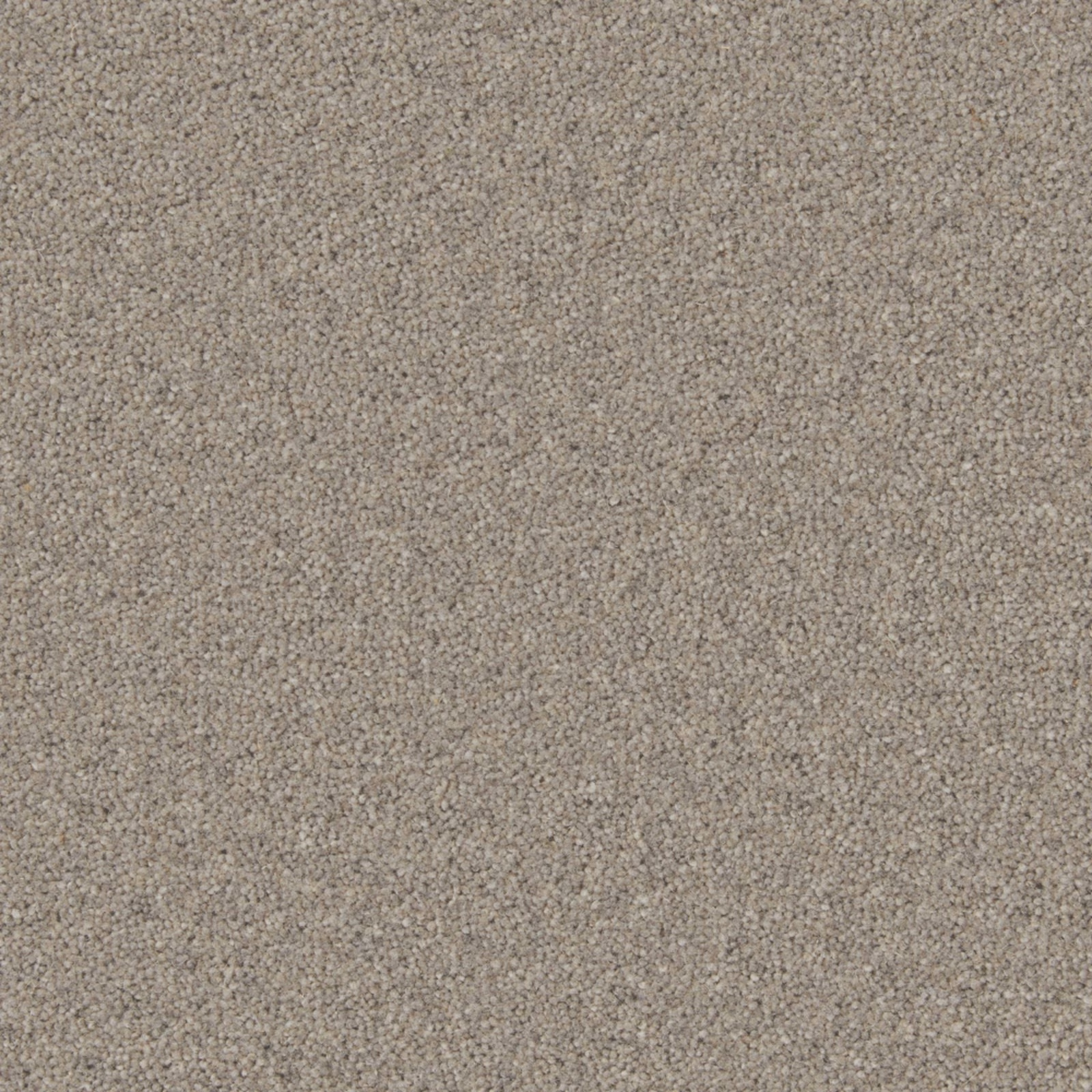 Warm greige wool-twist carpet with fine silver-grey flecking and granular texture