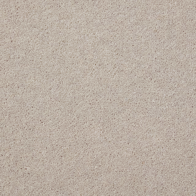 Pale warm greige Wool Twist carpet with dense, softly flecked pile
