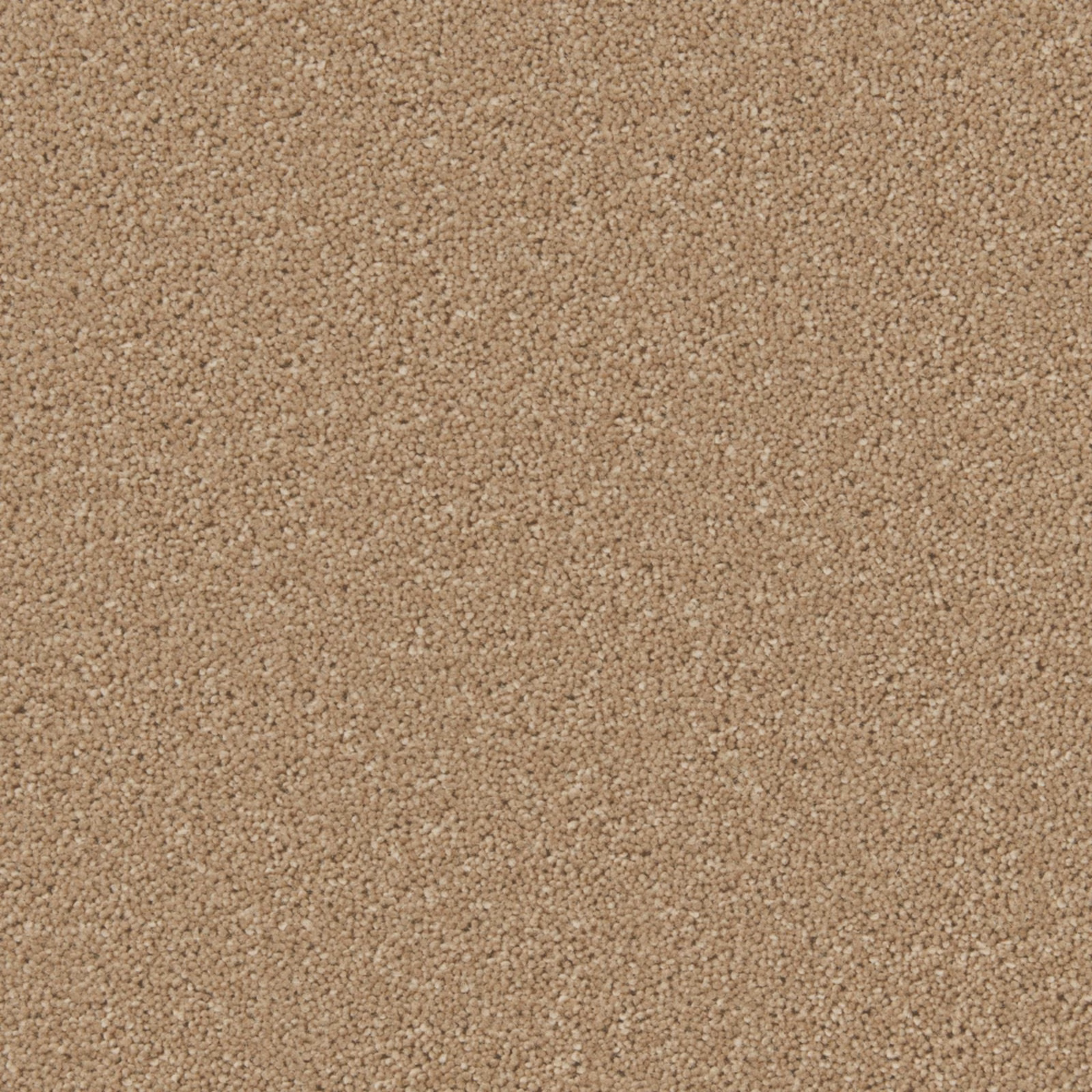 Warm toffee beige carpet with dense wool twist texture and subtle tonal flecking