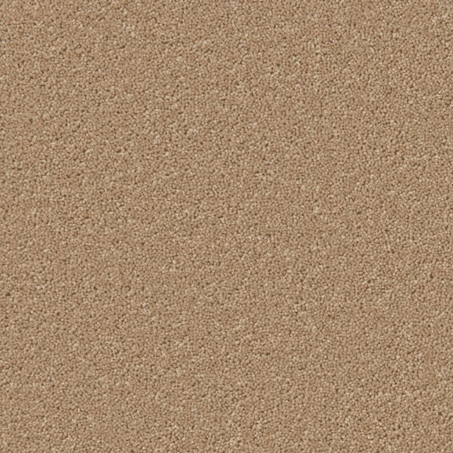 Warm toffee beige carpet with dense wool twist texture and subtle tonal flecking