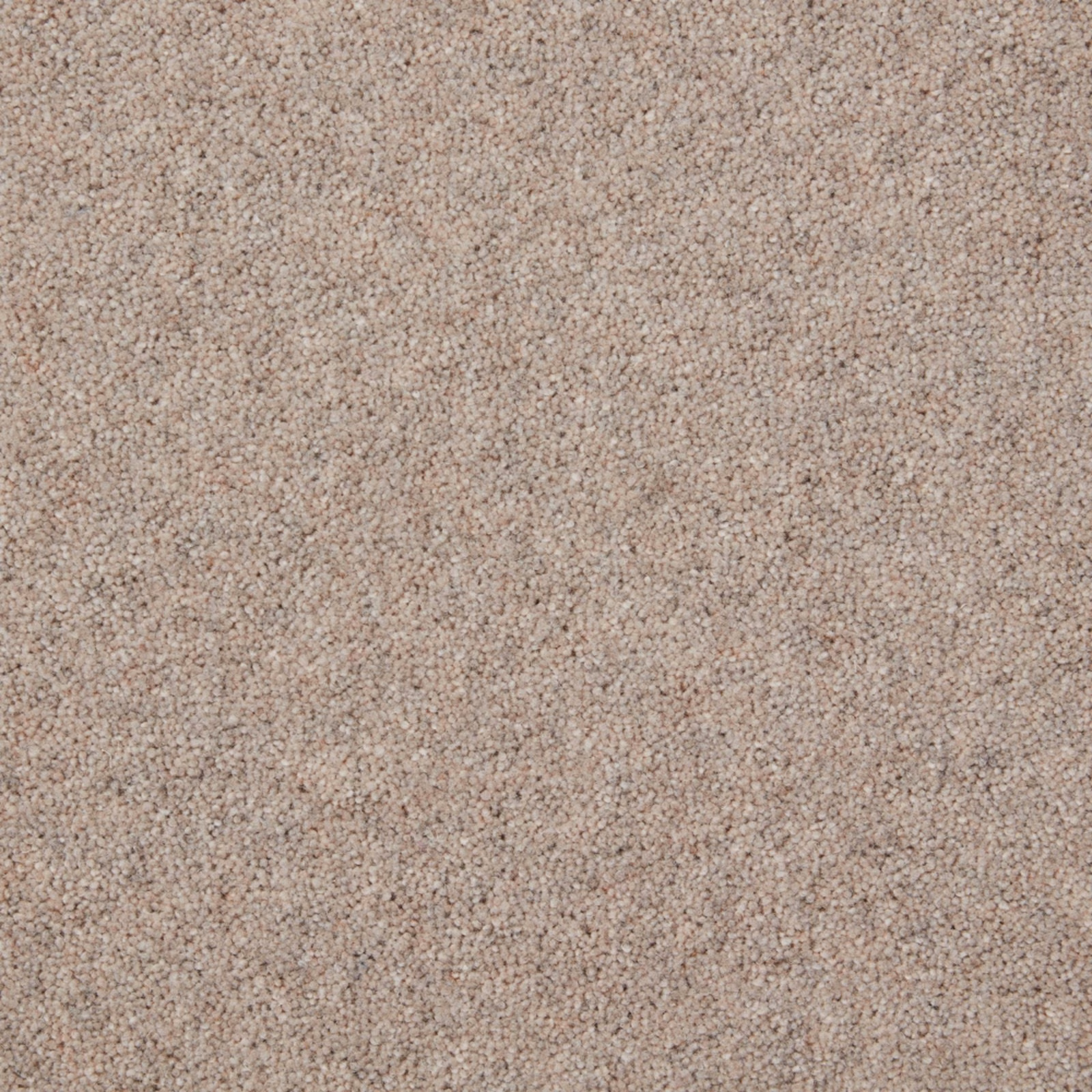 Pale warm-greige White Pepper carpet with dense flecked Wool Twist texture