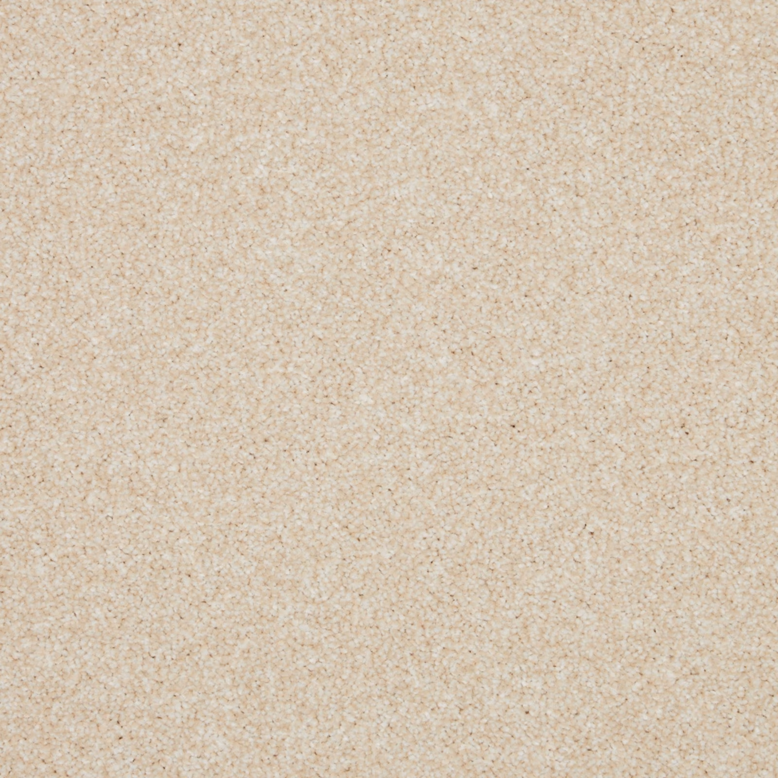Warm cream-beige carpet with softly flecked, close-textured Saxony pile