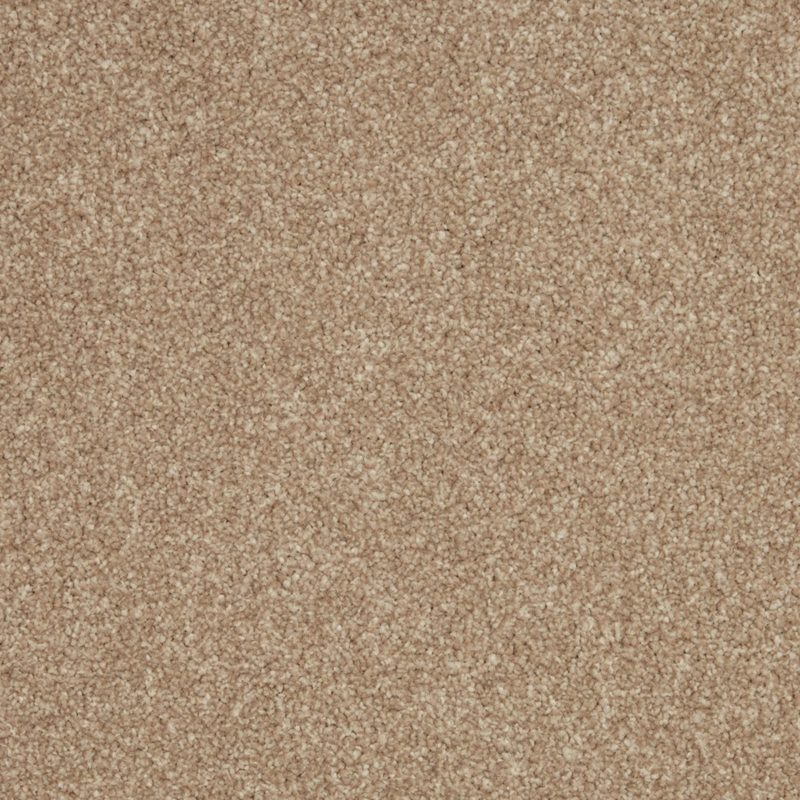 Warm flax-beige carpet with dense short pile and subtle tonal mottling
