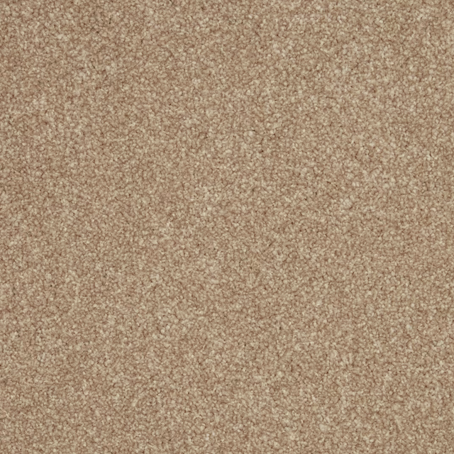 Warm flax-beige carpet with dense short pile and subtle tonal mottling