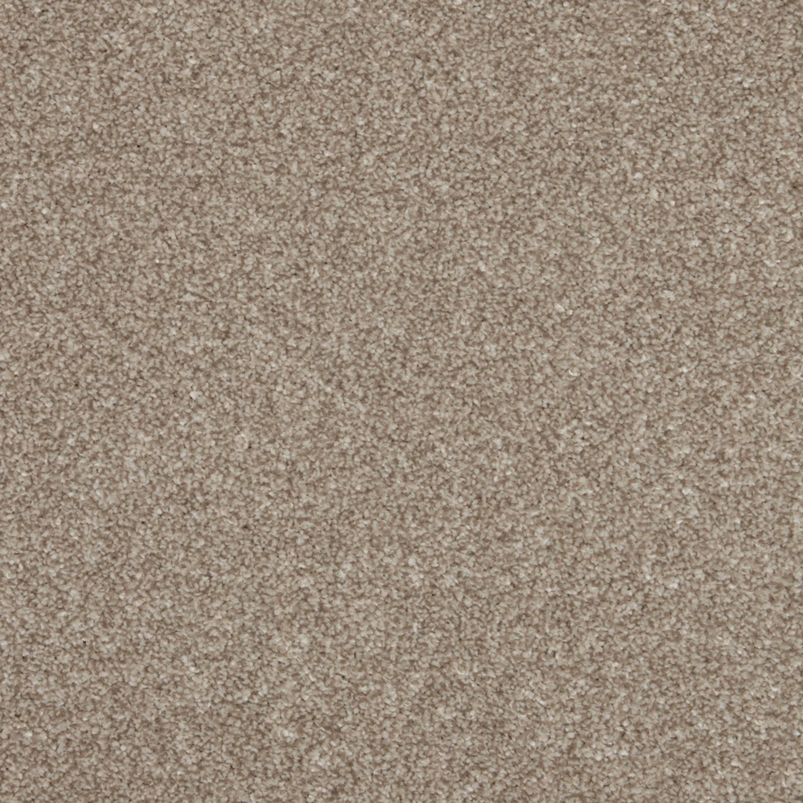 Warm mushroom-taupe carpet with fine beige flecks and dense textured pile