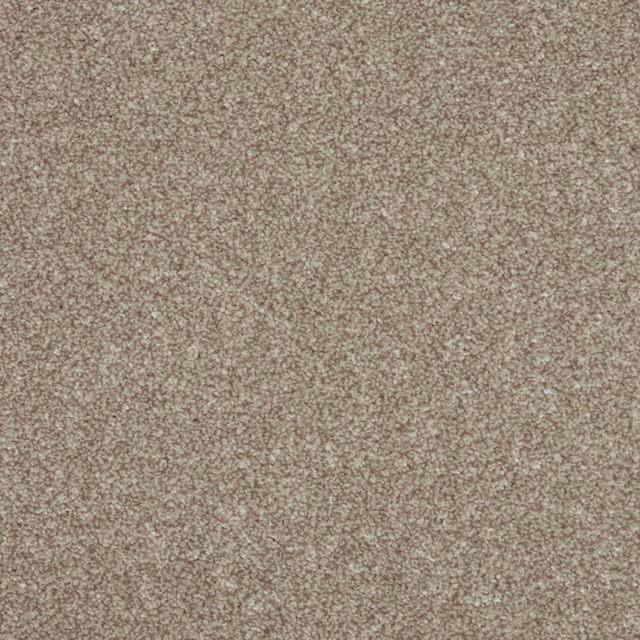 Warm mushroom-taupe carpet with fine beige flecks and dense textured pile