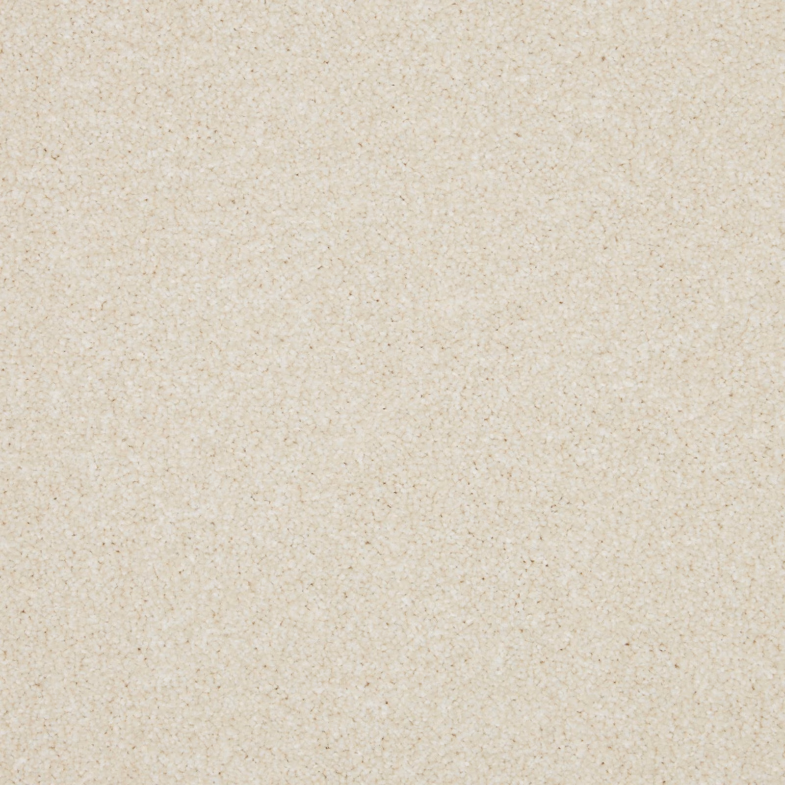 Ivory carpet with fine beige flecking and a softly textured Saxony pile