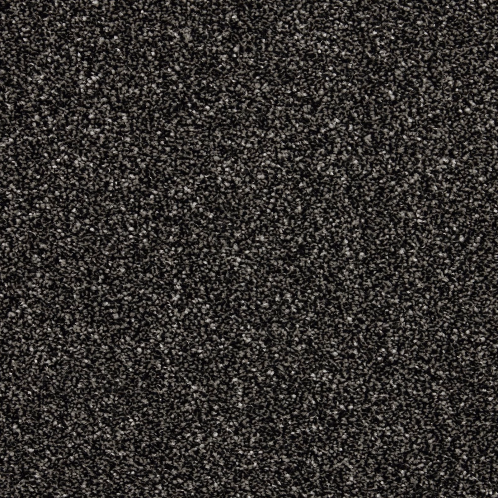 Close-up of dense charcoal carpet with fine grey flecked texture