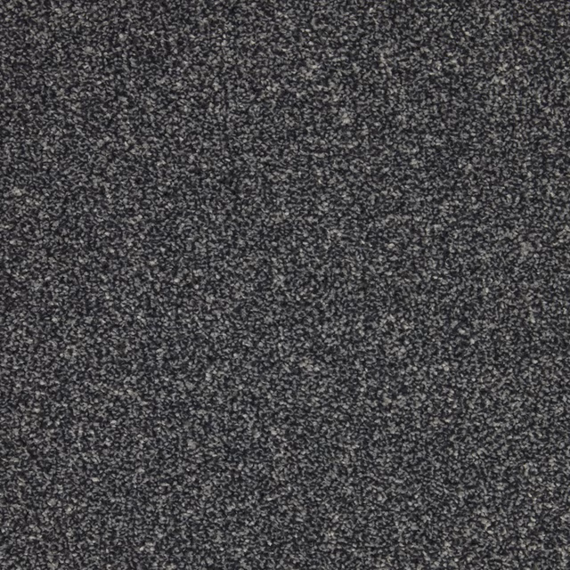 Dark charcoal-grey carpet with fine pale flecks and a dense, softly mottled pile