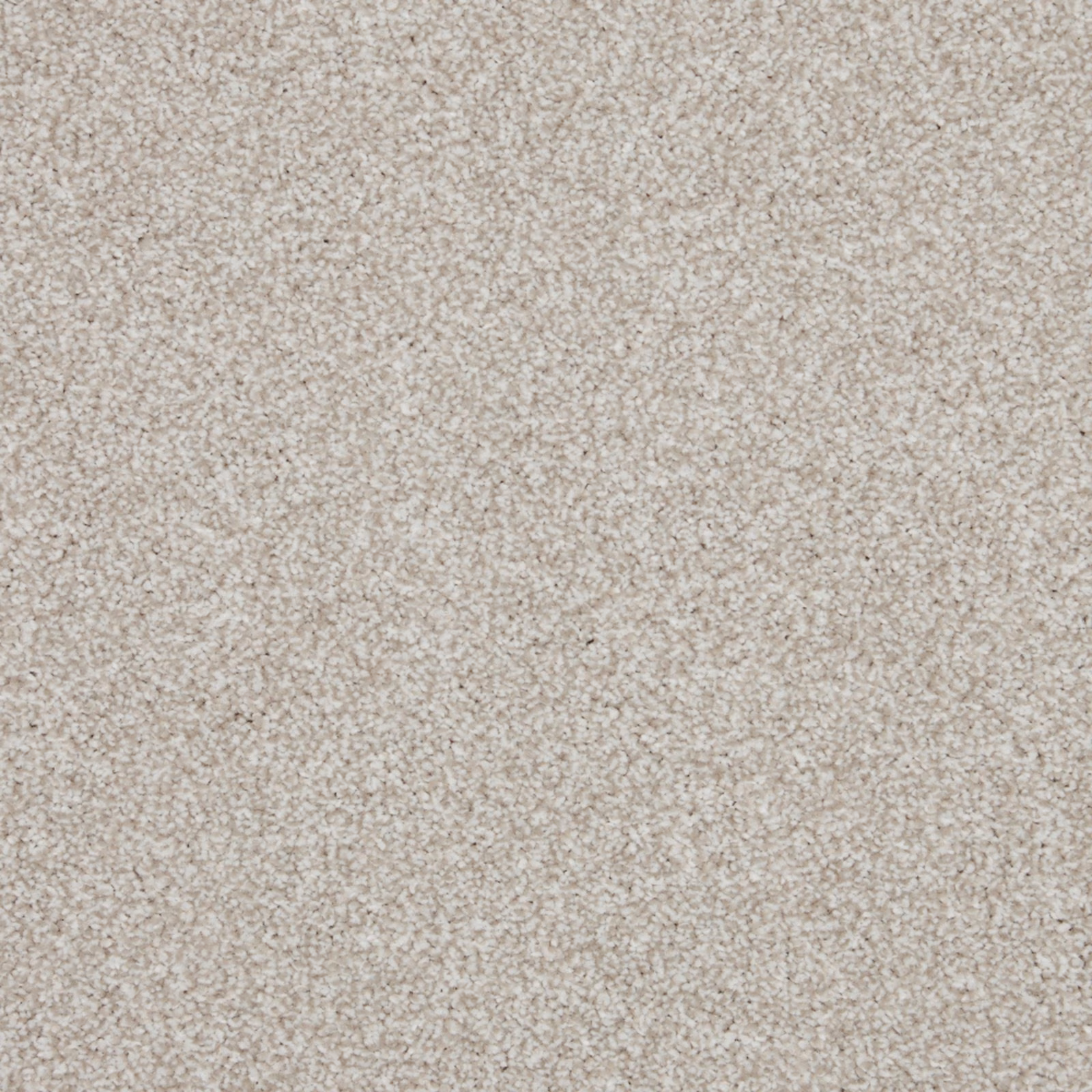 Pale warm greige Saxony pile with a softly mottled, flecked texture