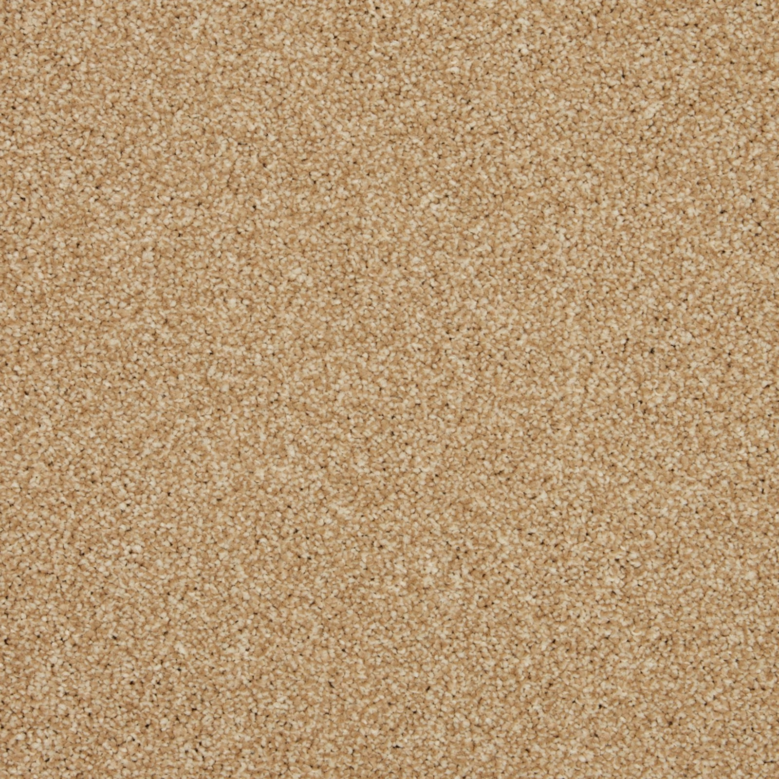 Warm sandy-beige Saxony carpet with dense, softly flecked pile texture