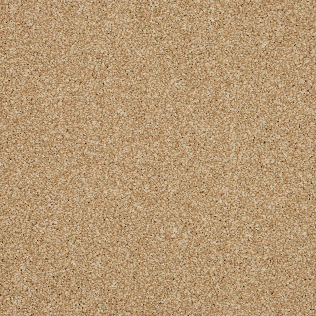 Warm sandy-beige Saxony carpet with dense, softly flecked pile texture