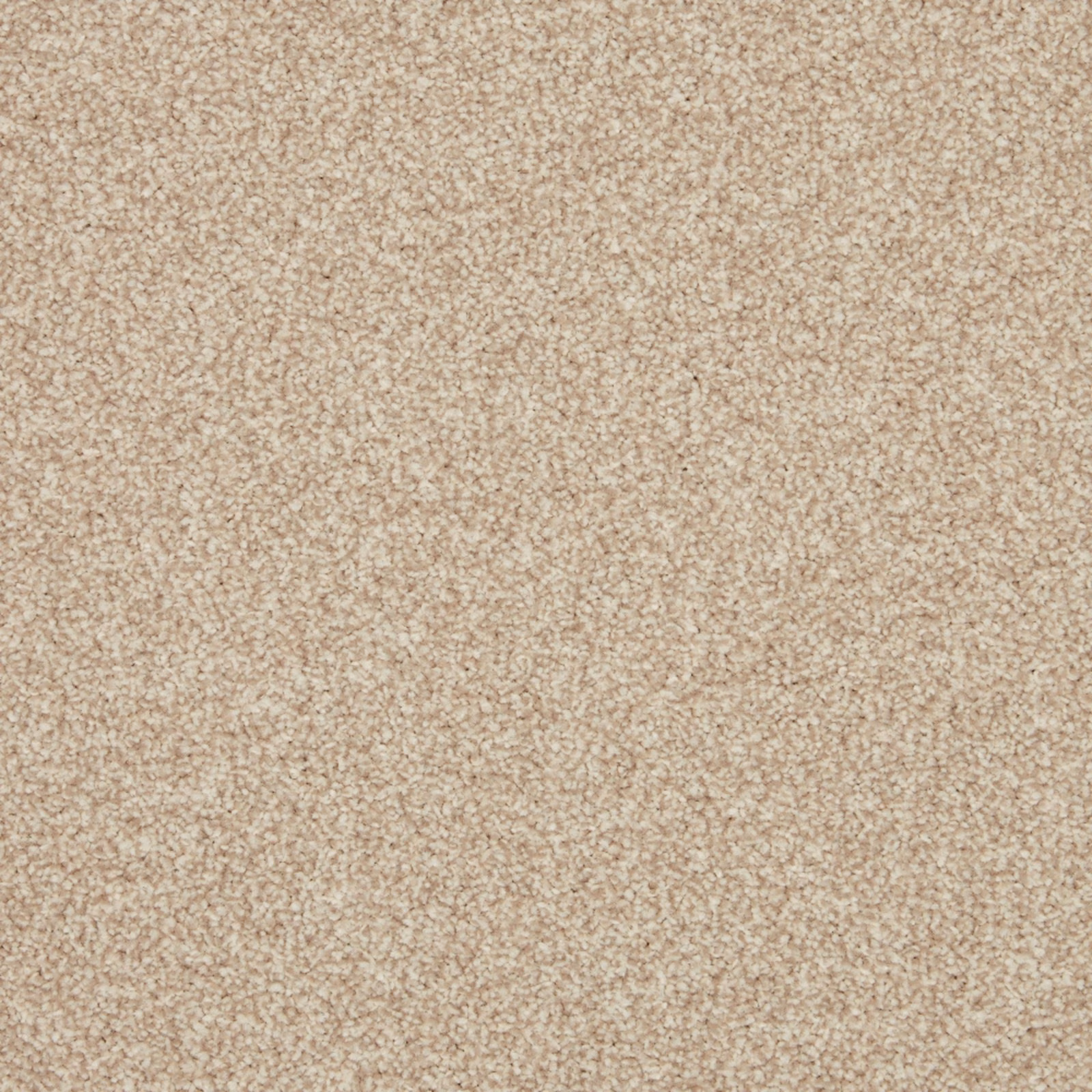 Warm beige carpet with cream flecks and a dense, softly mottled pile