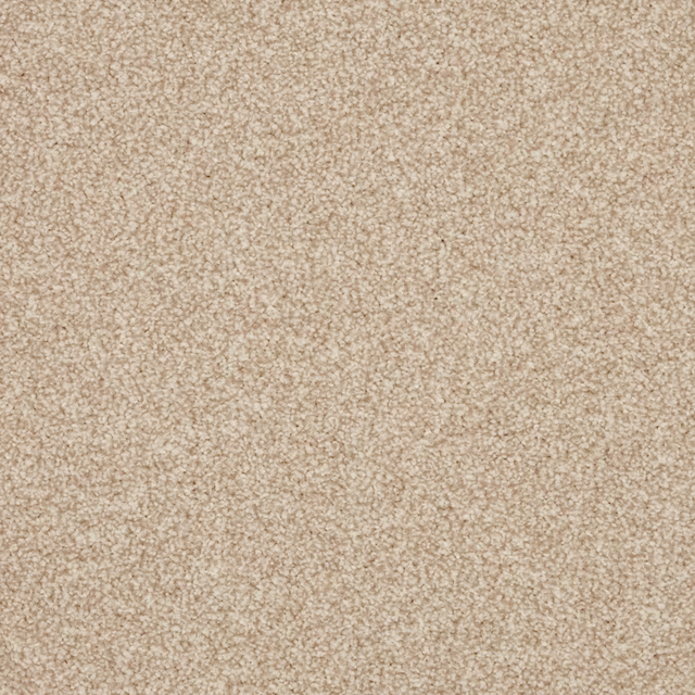 Warm beige carpet with cream flecks and a dense, softly mottled pile