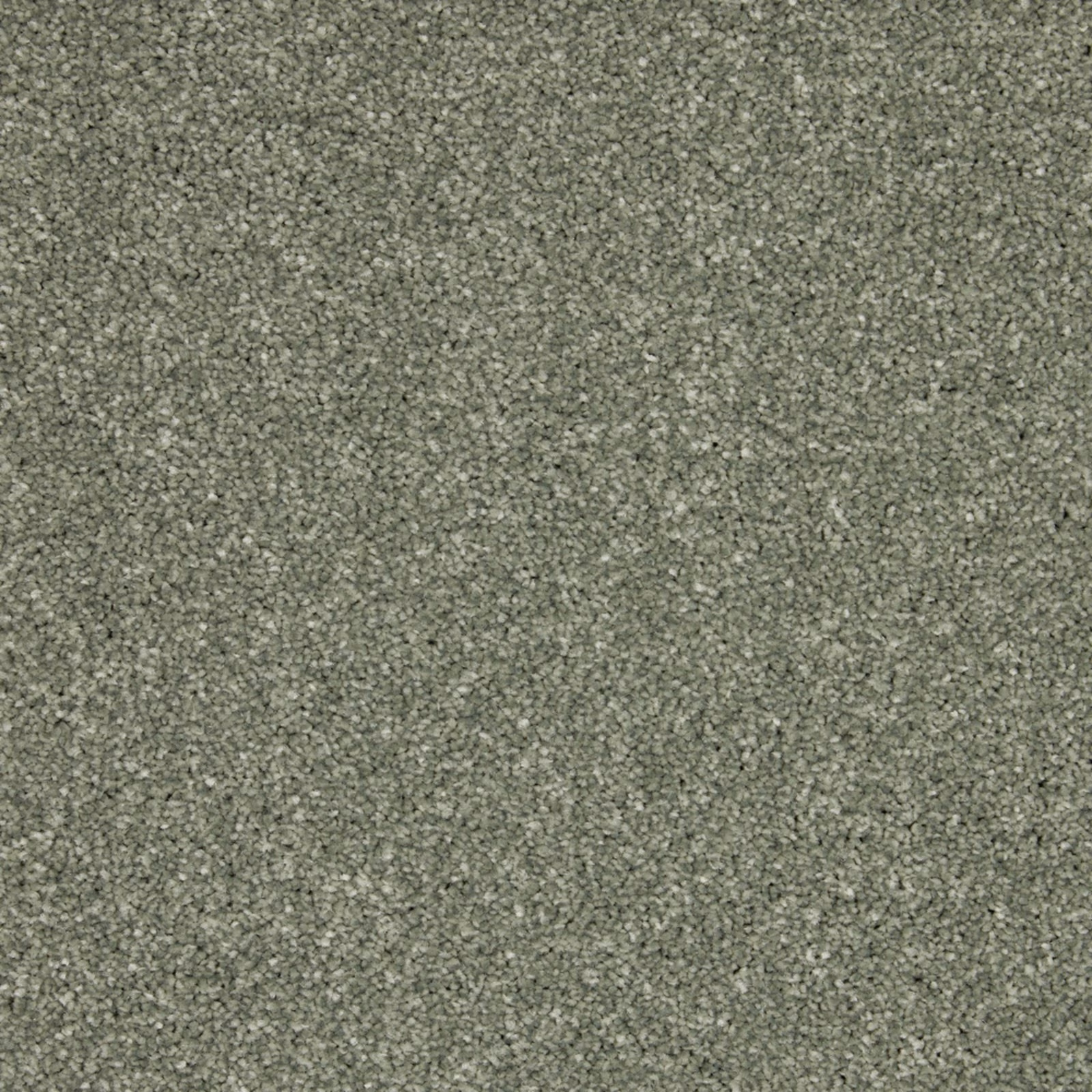 Muted olive-grey carpet swatch with dense, softly flecked short pile