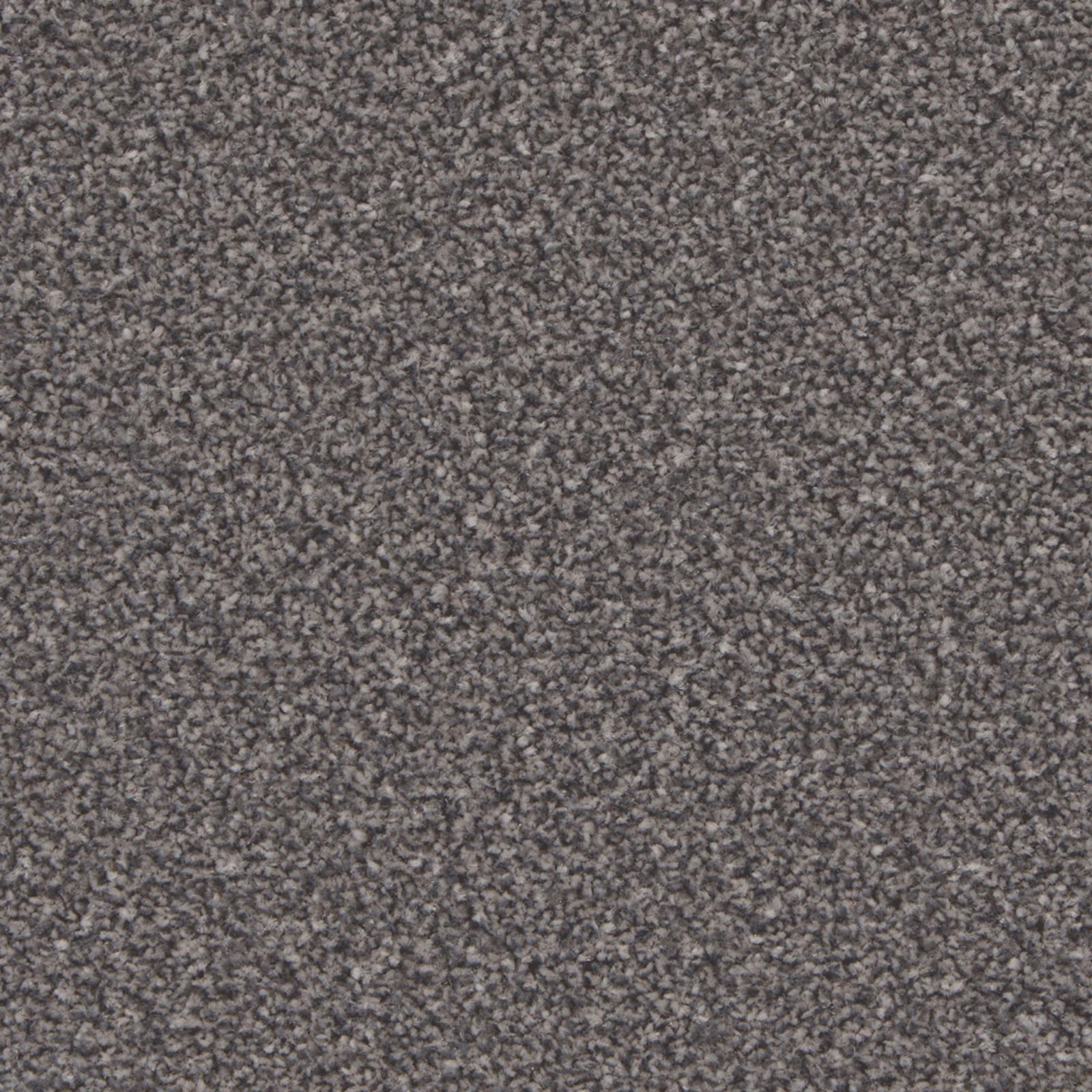 Close-up of Battleship Grey carpet showing dense charcoal-grey flecked pile texture