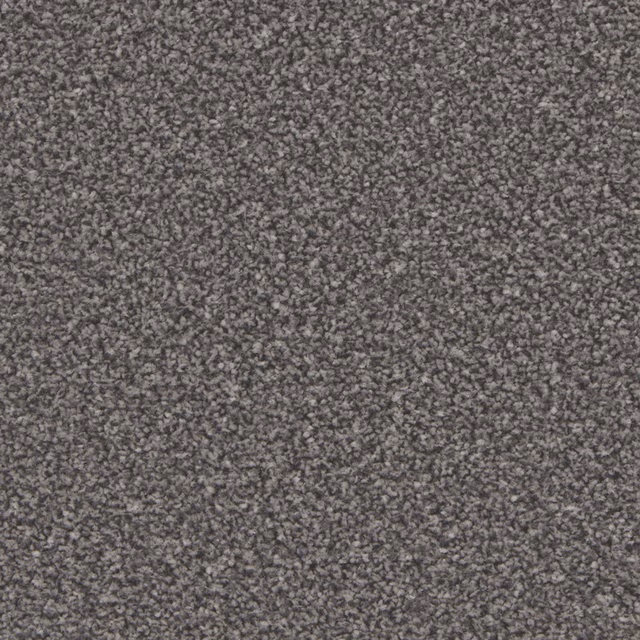 Close-up of Battleship Grey carpet showing dense charcoal-grey flecked pile texture