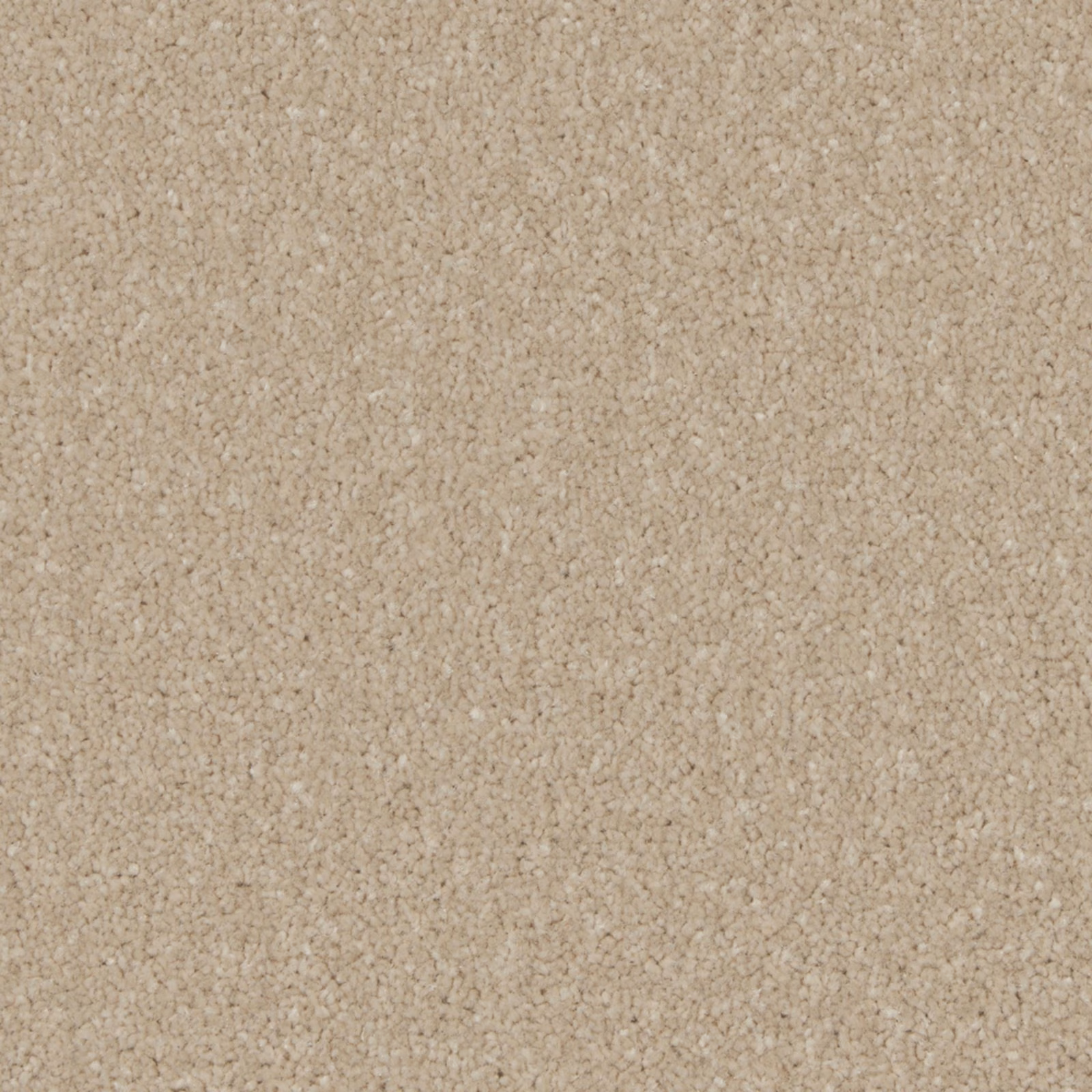 Warm oatmeal beige carpet with dense softly flecked textured pile