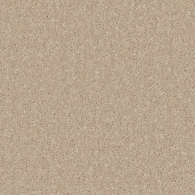 Warm oatmeal beige carpet with dense softly flecked textured pile