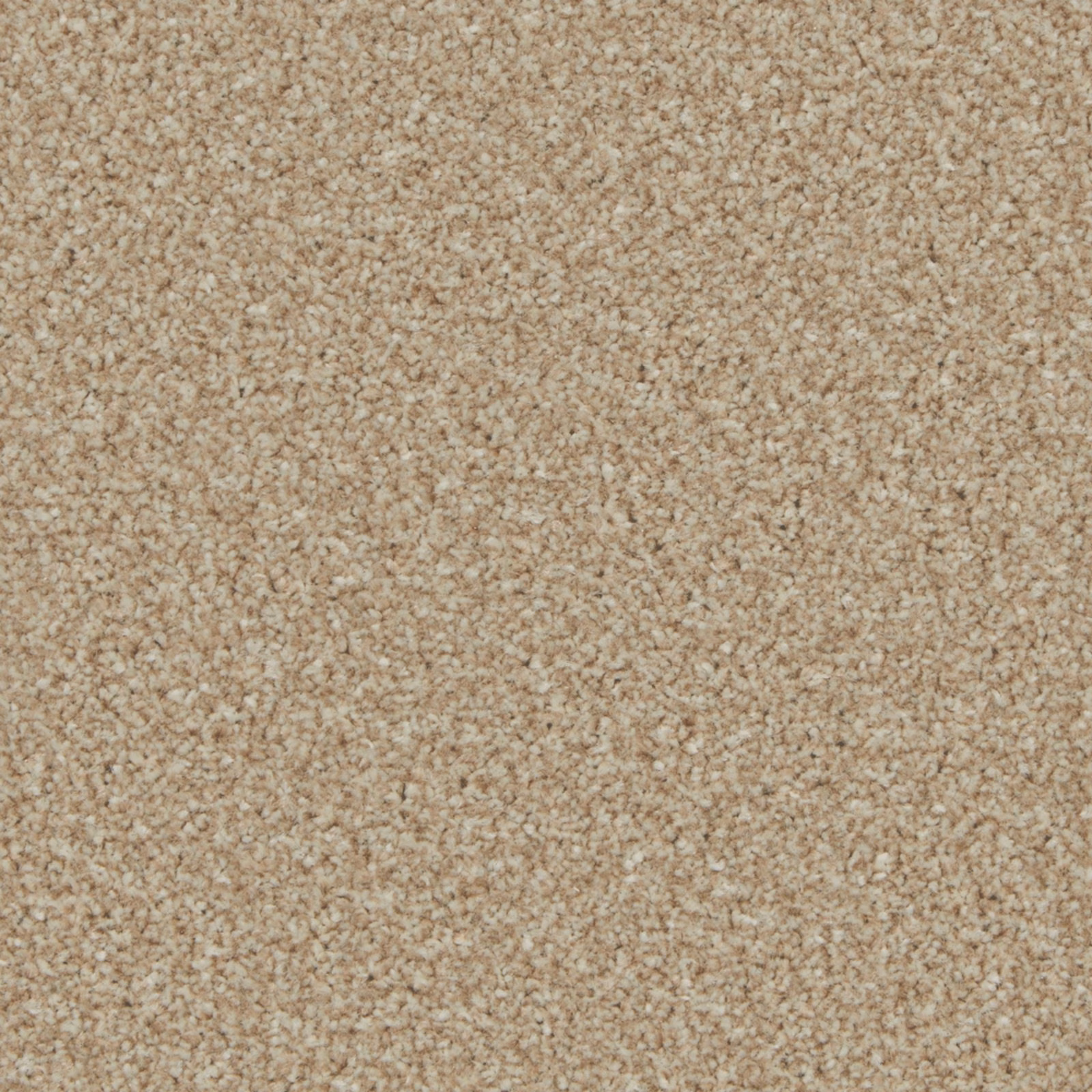 Warm beige-taupe carpet swatch with softly flecked, nubby textured pile