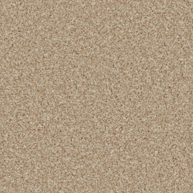 Warm beige-taupe carpet swatch with softly flecked, nubby textured pile