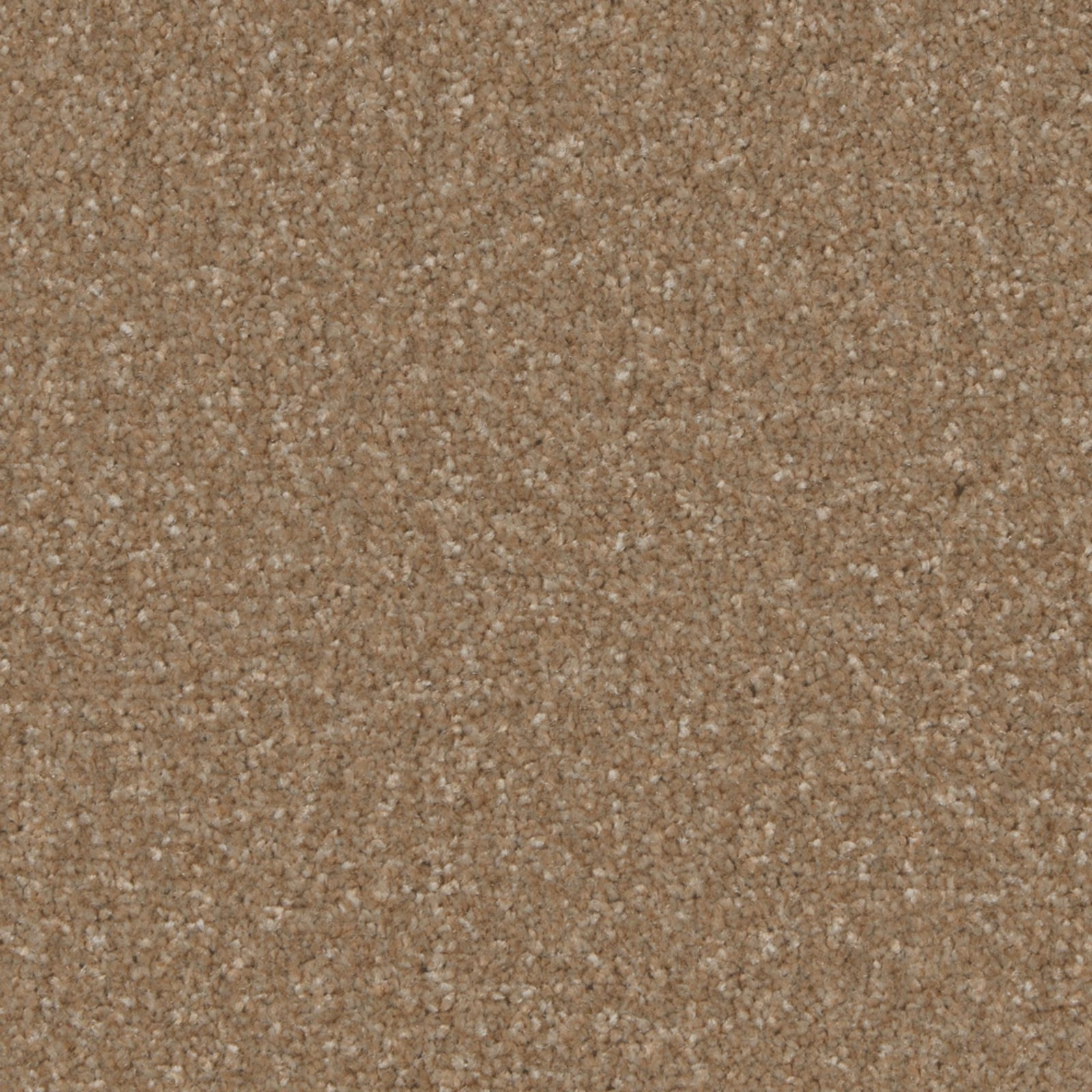 Dense cedar-brown carpet texture with softly mottled taupe and warm neutral flecks