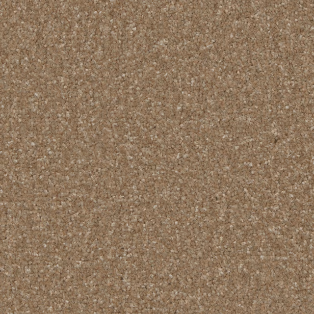 Dense cedar-brown carpet texture with softly mottled taupe and warm neutral flecks