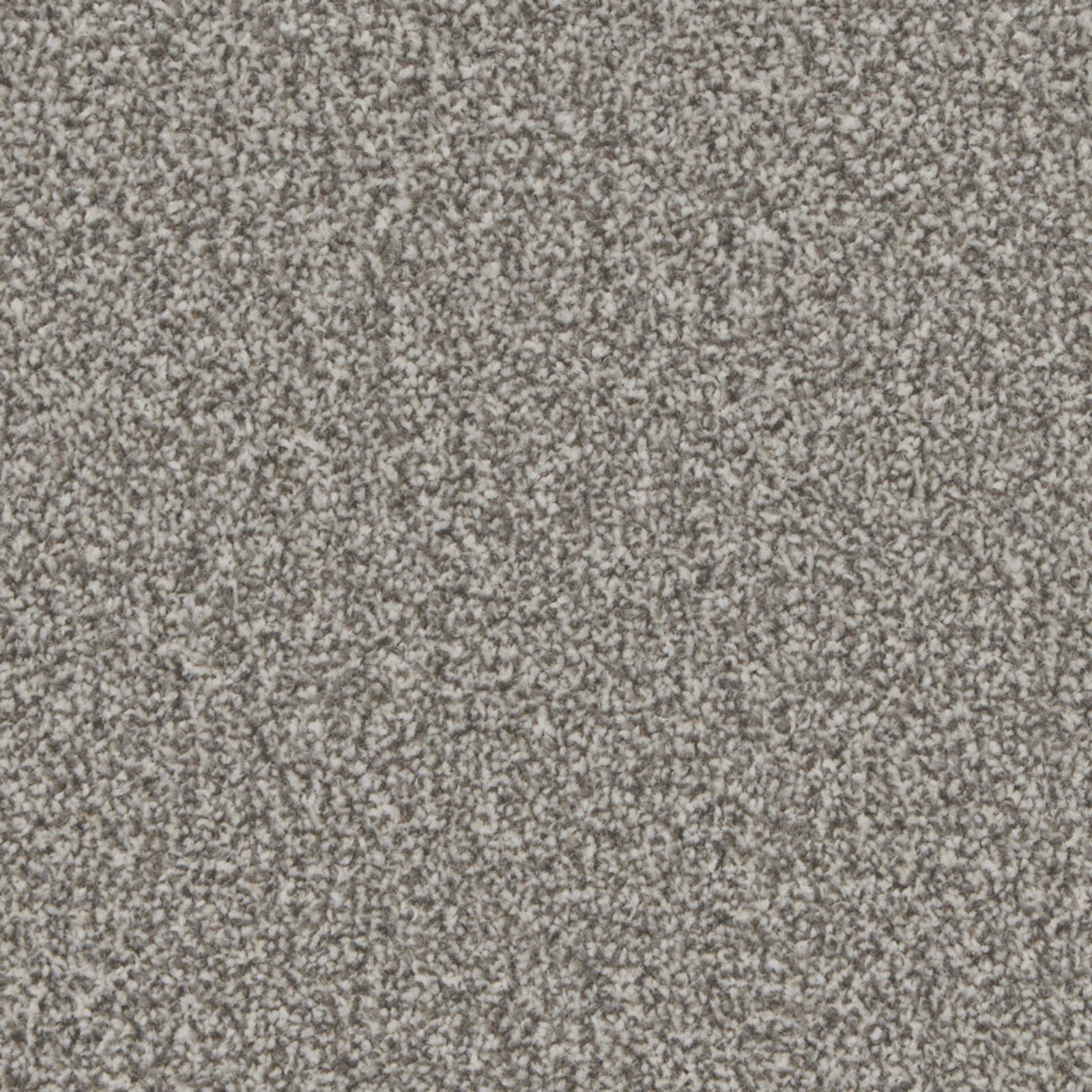 Mottled warm-grey carpet pile with charcoal and pale stone flecks